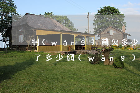 網(wǎng)貸欠多少怎么查(如何查詢欠了多少網(wǎng)貸)