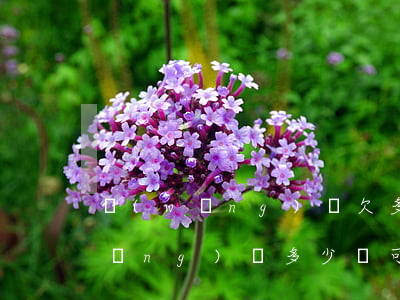 網(wǎng)貸欠多少才夠起訴(欠網(wǎng)貸多少錢可以被起訴)
