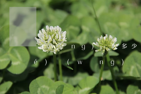 網(wǎng)貸欠多少才會被凍結(jié)(網(wǎng)貸欠款多少會被凍結(jié)銀行賬戶)
