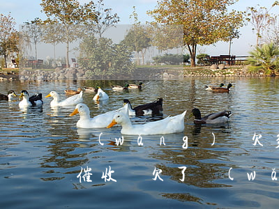 網(wǎng)貸欠多少會(huì)上門催收嗎(欠了網(wǎng)貸會(huì)上門催收嗎)