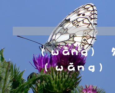 網(wǎng)貸欠多少會(huì)受理(網(wǎng)貸欠款多少法院會(huì)受理)