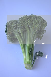 網(wǎng)貸欠多少會(huì)被凍結(jié)資產(chǎn)(欠網(wǎng)貸會(huì)被凍結(jié)名下所有資產(chǎn)?)