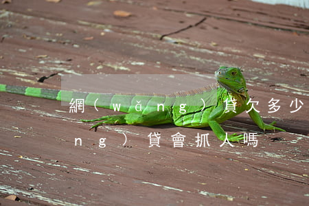 網(wǎng)貸欠多少會抓人(欠網(wǎng)貸會抓人嗎)