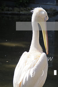 網(wǎng)貸欠多少還有救(網(wǎng)貸欠了很多錢)