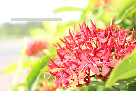 網(wǎng)貸欠多少錢不還會(huì)捉人