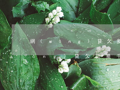 網(wǎng)貸欠多少錢可以不還(網(wǎng)貸欠款幾千元不還怎么辦)