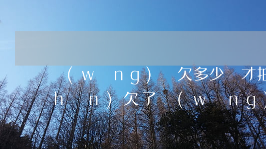 網(wǎng)貸欠多少錢才拍賣房產(chǎn)(欠了網(wǎng)貸無(wú)力償還怎么辦法院會(huì)拍賣房子嗎)