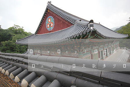 網(wǎng)貸欠多少錢才會立案(網(wǎng)貸欠款多少錢可以立案)