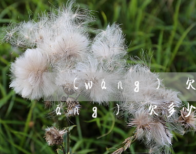 網(wǎng)貸欠多少錢才被起訴(網(wǎng)貸欠多少錢才被起訴)
