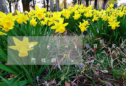 網(wǎng)貸欠多少錢會(huì)上門找(網(wǎng)貸欠了幾千塊錢說要上門)