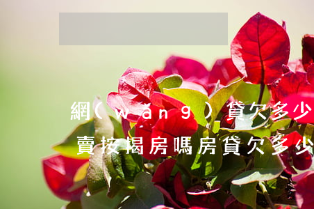 網(wǎng)貸欠多少錢會(huì)拍賣按揭房嗎(房貸欠多少錢可以拍賣房子)