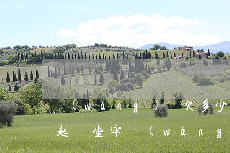 網(wǎng)貸欠多少錢會(huì)被起訴坐牢(網(wǎng)貸欠款幾千塊會(huì)被起訴嗎)