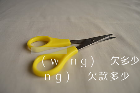 網(wǎng)貸欠多少錢會起訴你(網(wǎng)貸欠款多少錢可以起訴)