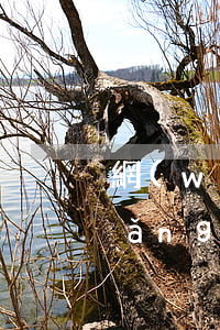 網(wǎng)貸欠多少錢算詐騙罪(網(wǎng)貸算貸款詐騙罪嗎)