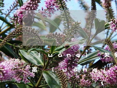 網(wǎng)貸欠多少錢算負(fù)債高(網(wǎng)貸欠多少算多)