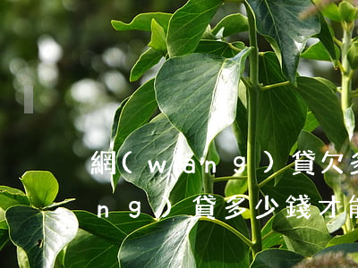 網(wǎng)貸欠多少錢起訴(欠網(wǎng)貸多少錢才能起訴立案)