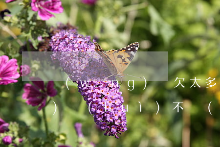 網(wǎng)貸欠太多 不還錢(qián)會(huì)不會(huì)坐牢(網(wǎng)貸欠多少不還會(huì)坐牢)