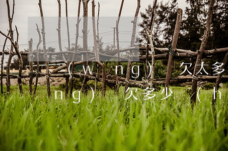 網(wǎng)貸欠太多全部起訴(網(wǎng)貸欠多少會(huì)起訴)