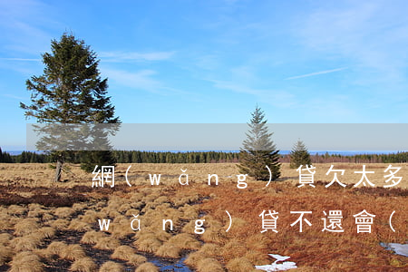 網(wǎng)貸欠太多只能賣房嗎(欠網(wǎng)貸不還會(huì)賣房產(chǎn)嗎)