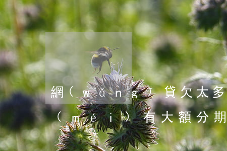 網(wǎng)貸欠太多可以多分期嗎(有沒(méi)有大額分期時(shí)間長(zhǎng)的網(wǎng)貸)