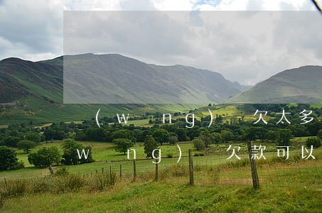 網(wǎng)貸欠太多可以改名嗎(有網(wǎng)貸欠款可以改名字嗎)