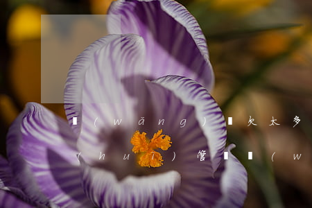 網(wǎng)貸欠太多國(guó)家會(huì)管嗎(網(wǎng)貸國(guó)家不管嗎)