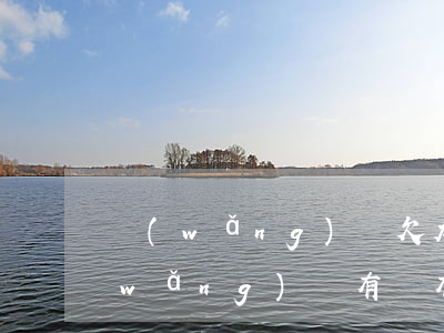 網(wǎng)貸欠太多怎么停息掛賬(網(wǎng)貸有沒有停息掛賬)