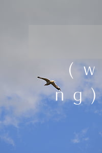 網(wǎng)貸欠太多怎么解壓(網(wǎng)貸欠的太多了怎么辦)