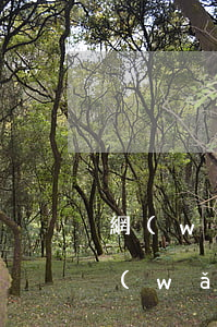 網(wǎng)貸欠太多怎么跟父母說(欠網(wǎng)貸要不要跟父母說)