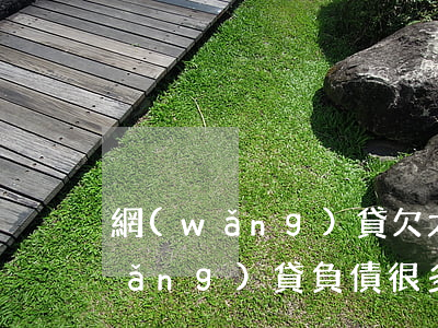 網(wǎng)貸欠太多 想死了咋辦(網(wǎng)貸負債很多想死了)