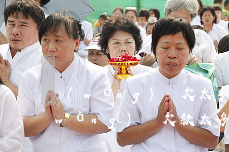 網(wǎng)貸欠太多找記者有用不(網(wǎng)貸欠款太多)