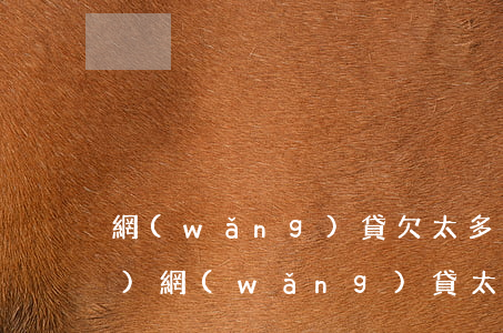 網(wǎng)貸欠太多還不動(dòng)(網(wǎng)貸太多了還不動(dòng)了怎么辦)