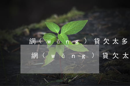 網(wǎng)貸欠太多還不起了怎么辦-網(wǎng)貸欠太多還不起了怎么辦呢