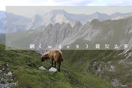 網(wǎng)貸欠太多錢活著太難了