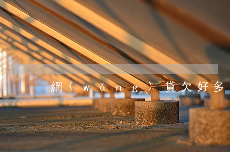 網(wǎng)貸欠好多了哪里還能貸