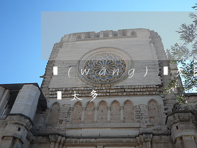 網(wǎng)貸欠巨債(欠網(wǎng)貸太多)