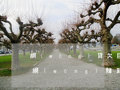 網(wǎng)貸欠巨債靠賭翻身可以嗎(從網(wǎng)賭到網(wǎng)貸,一個(gè)從負(fù)債累累成功上岸的真實(shí)經(jīng)歷)