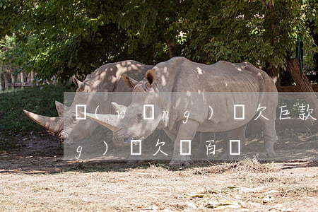 網(wǎng)貸欠巨款的朋友(網(wǎng)貸欠債百萬)