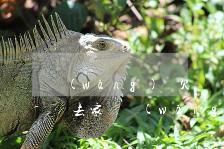 網(wǎng)貸欠幾個月發(fā)信息說去家訪(網(wǎng)貸家訪以后是不是就起訴)