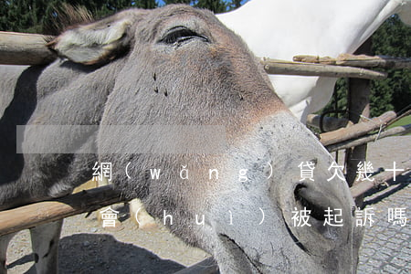 網(wǎng)貸欠幾十塊錢(qián)會(huì)被起訴嗎(網(wǎng)貸幾千塊錢(qián)會(huì)起訴嗎)