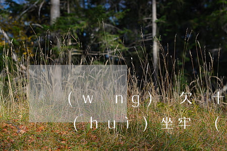 網(wǎng)貸欠幾十萬(wàn)不還會(huì)坐牢(網(wǎng)貸欠了五十萬(wàn)不還會(huì)坐牢嗎)
