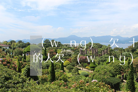 網(wǎng)貸欠幾十萬(wàn)不還的人(欠網(wǎng)貸十幾萬(wàn)這輩子要完了)