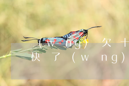 網(wǎng)貸欠幾十萬(wàn)去送快遞了(網(wǎng)貸欠了10多萬(wàn))
