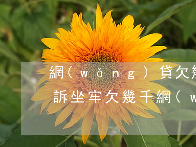 網(wǎng)貸欠幾十萬(wàn)被起訴坐牢(欠幾千網(wǎng)貸會(huì)被起訴嗎)