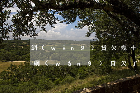 網(wǎng)貸欠幾十萬怎么跟爸媽坦白(網(wǎng)貸欠了20萬怎么跟父母坦白)