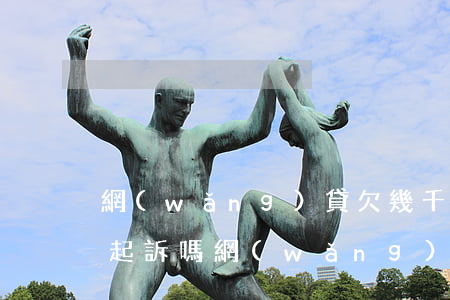 網(wǎng)貸欠幾千元會(huì)被起訴嗎(網(wǎng)貸欠了一千多會(huì)被起訴嗎)