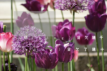 網(wǎng)貸欠幾千塊不還怎么辦(網(wǎng)貸欠了幾十萬還不起怎辦)