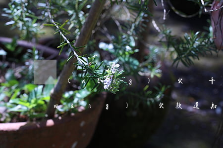 網(wǎng)貸欠幾千塊被通知村委(網(wǎng)貸欠款通知書張貼在社區(qū)村委合法嗎)