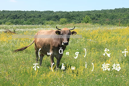 網(wǎng)貸欠幾千塊錢會(huì)不會(huì)被起訴(欠幾百塊網(wǎng)貸會(huì)被起訴嗎)
