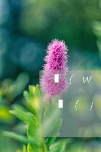 網(wǎng)貸欠幾千會(huì)被凍結(jié)銀行卡(網(wǎng)貸欠款會(huì)凍結(jié)銀行卡嗎)